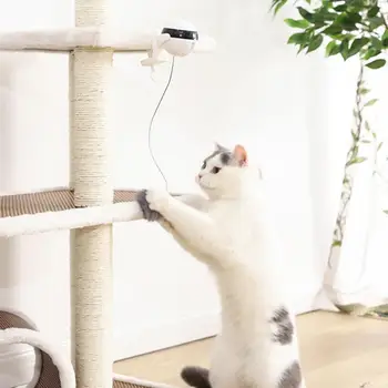 Eco-Friendly Pet Žogo Igrača Vsestranski Lahek Mačka Teaser Žogo Interaktivni Puzzle Smart Hišnih Mačk Žogo